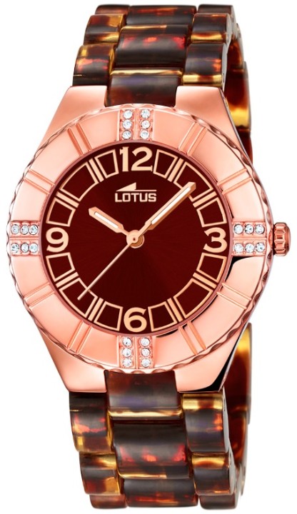 Obrázek Lotus Trendy