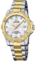 Obrázek Jaguar Executive Diver