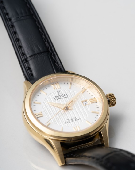 Obrázek Festina Swiss Made