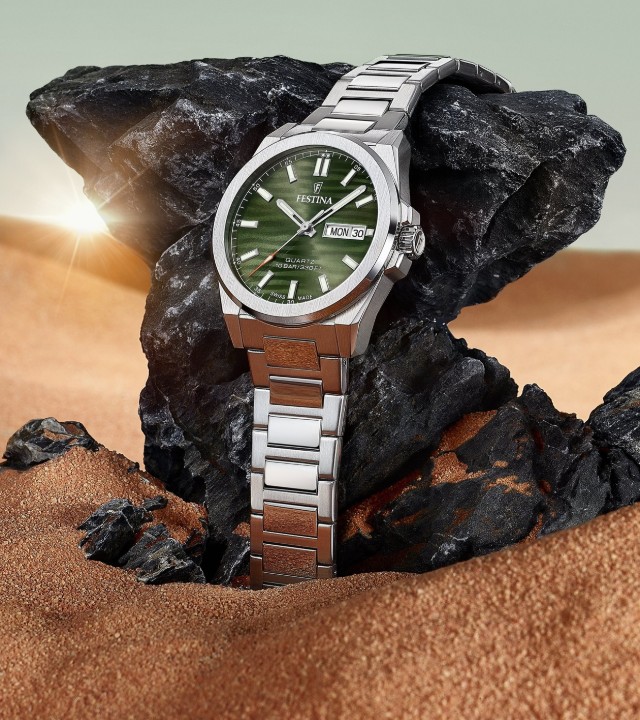 Obrázek Festina Swiss Made
