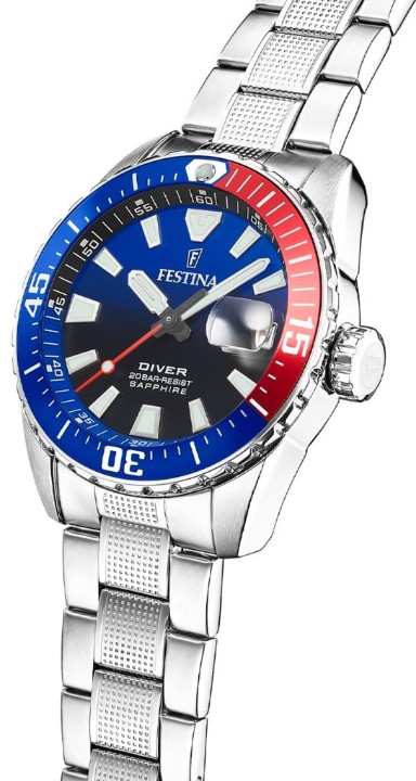 Obrázek Festina The Originals