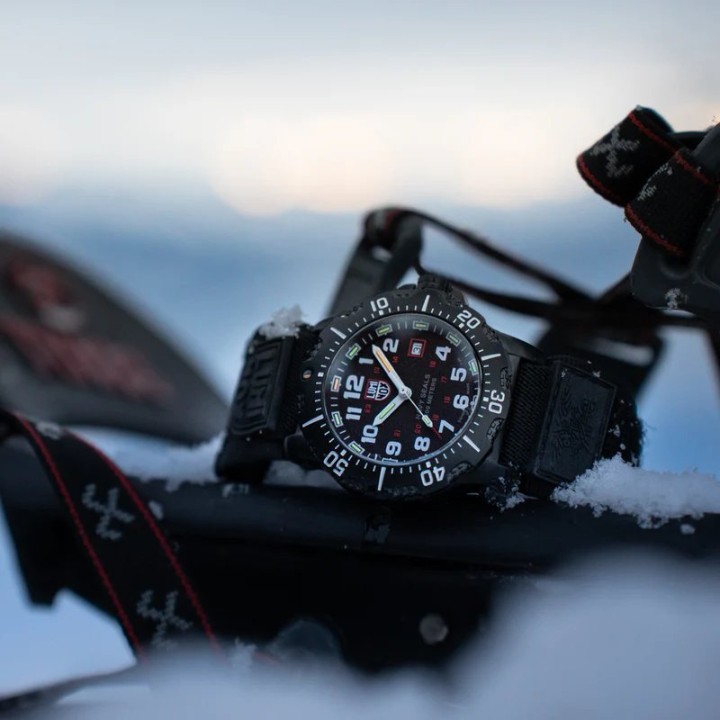 Obrázek Luminox Navy SEAL 4230 Series