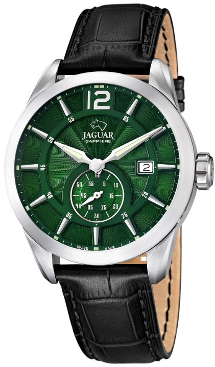 Obrázek Jaguar Acamar