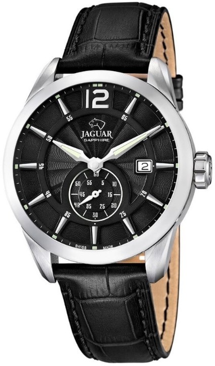 Obrázek Jaguar Acamar