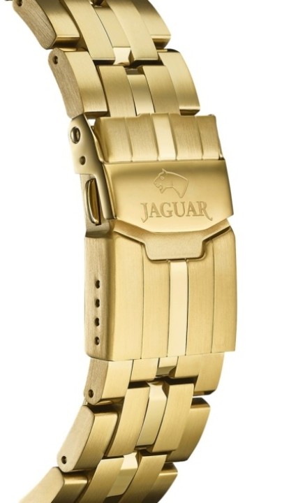 Obrázek Jaguar Executive