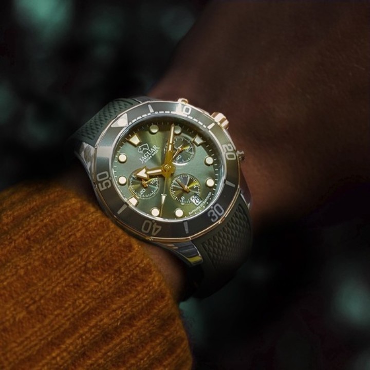 Obrázek Jaguar Woman Diver