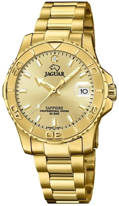 Obrázek Jaguar Executive Diver