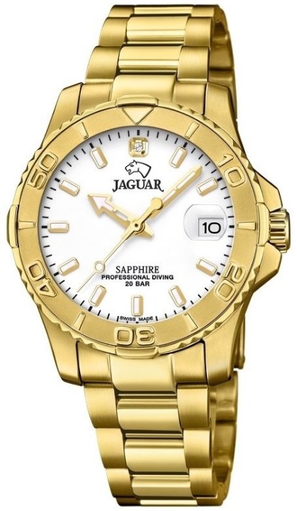 Obrázek Jaguar Executive Diver