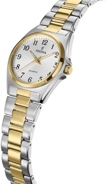 Obrázek Festina Classics