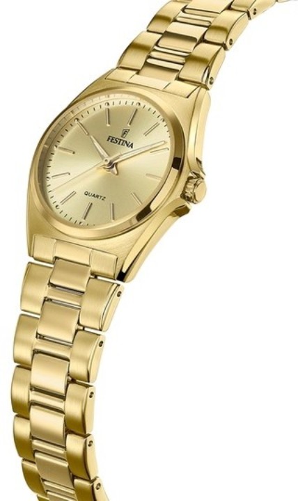 Obrázek Festina Classics