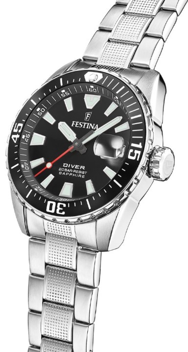 Obrázek Festina The Originals