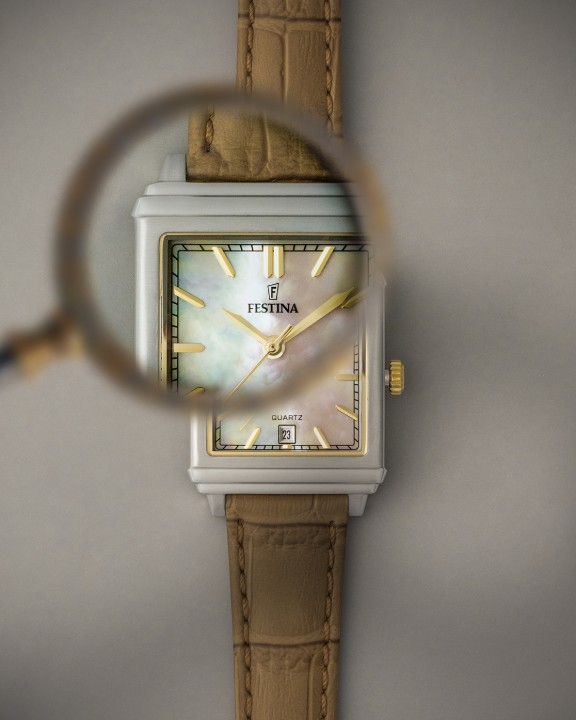 Obrázek Festina Classics