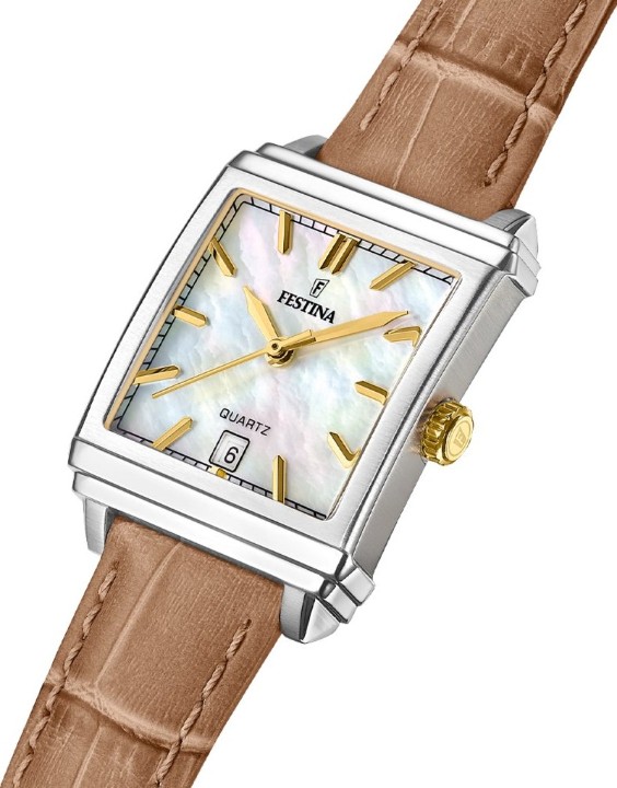 Obrázek Festina Classics