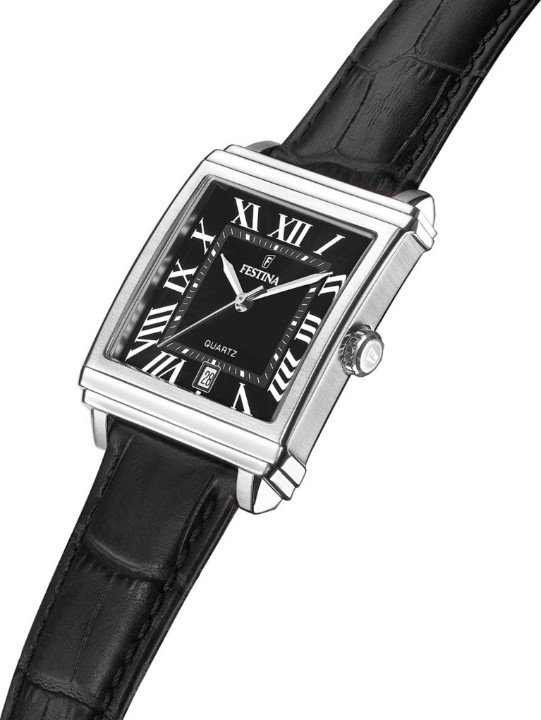 Obrázek Festina Classics