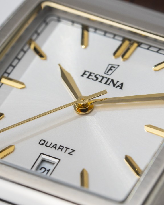 Obrázek Festina Classics