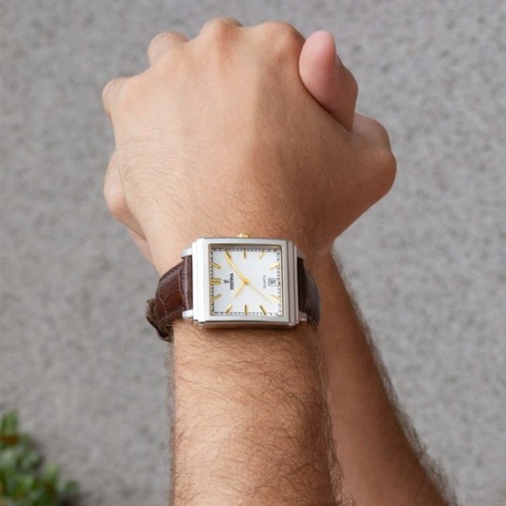 Obrázek Festina Classics