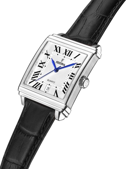 Obrázek Festina Classics