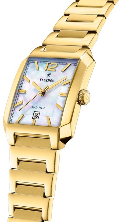 Obrázek Festina Classics