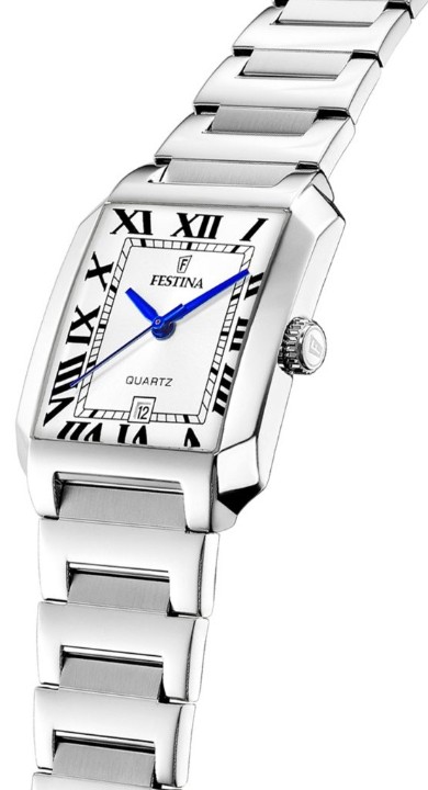 Obrázek Festina Classics