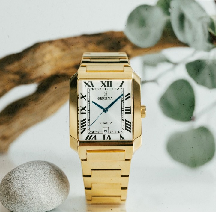 Obrázek Festina Classics