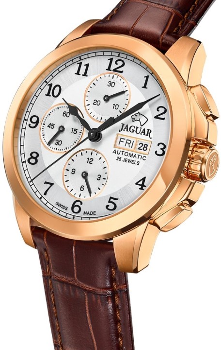 Obrázek Jaguar Automatic