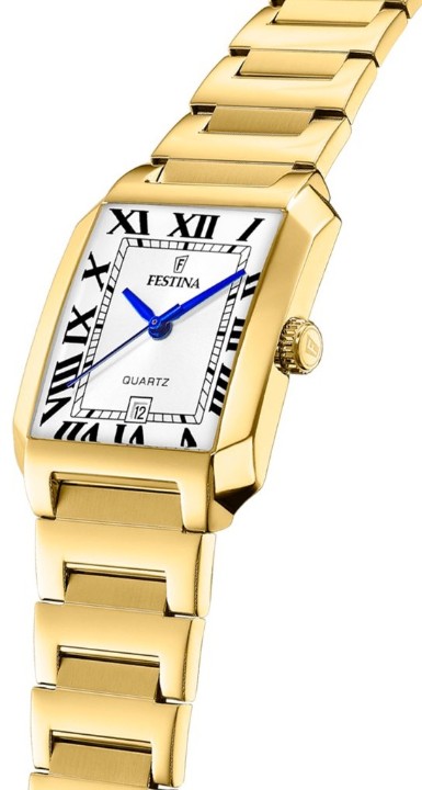 Obrázek Festina Classics