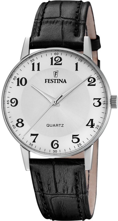 Obrázek Festina Classics