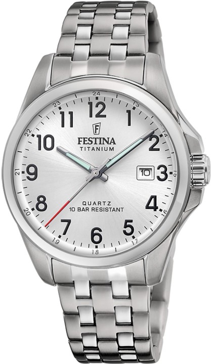 Obrázek Festina Titanium Date