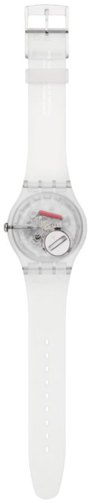 Obrázek Swatch From the Archive