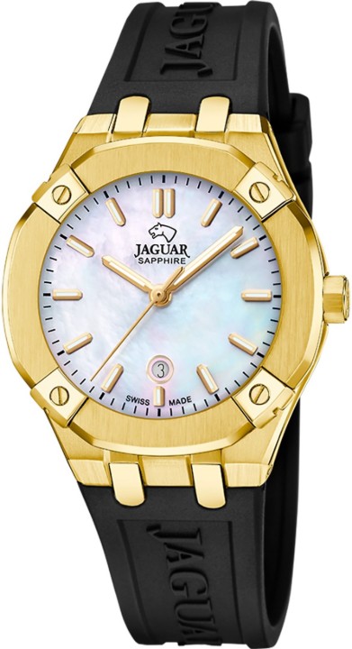 Obrázek Jaguar Diplomatic