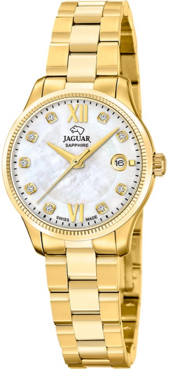 Obrázek Jaguar Acamar