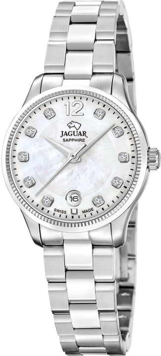 Obrázek Jaguar Acamar