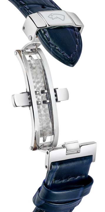 Obrázek Jaguar Acamar