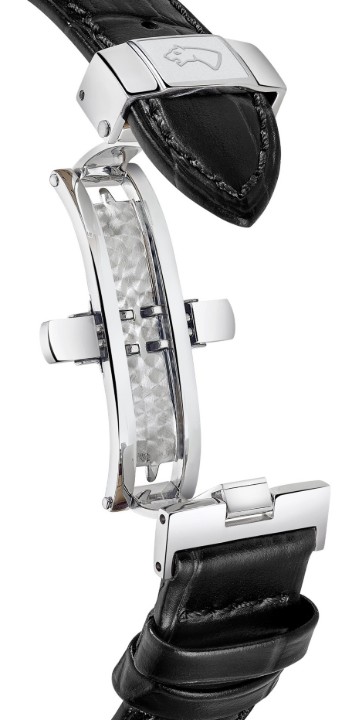 Obrázek Jaguar Acamar