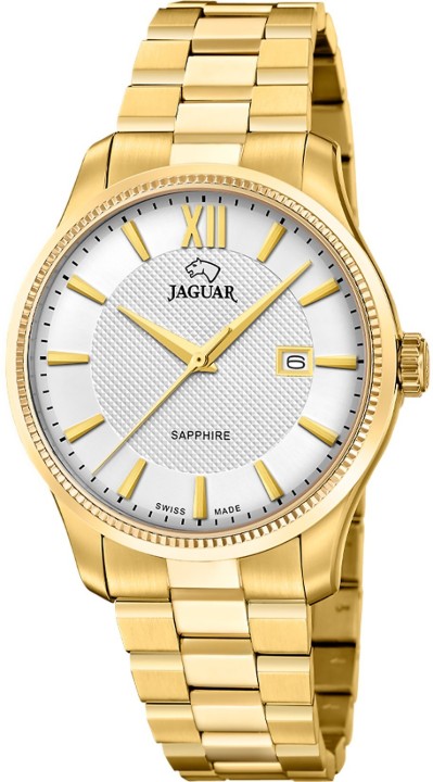 Obrázek Jaguar Acamar