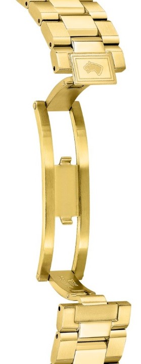 Obrázek Jaguar Acamar