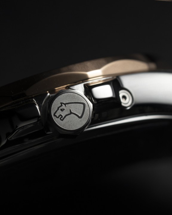 Obrázek Jaguar Diplomatic