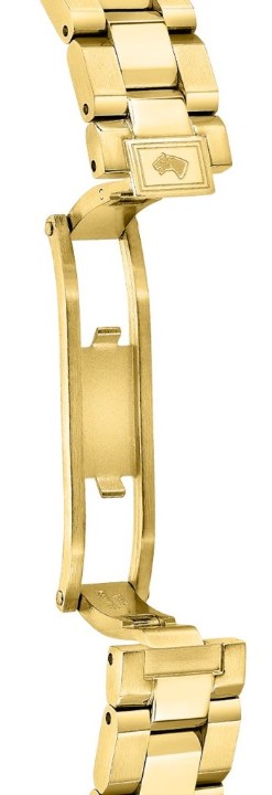 Obrázek Jaguar Acamar