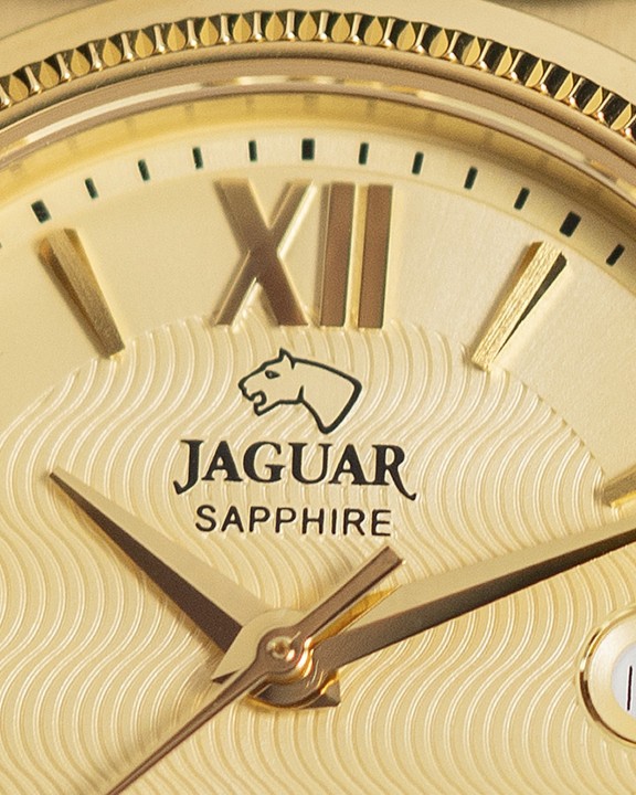 Obrázek Jaguar Acamar