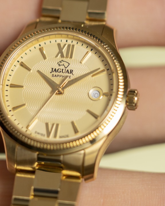 Obrázek Jaguar Acamar