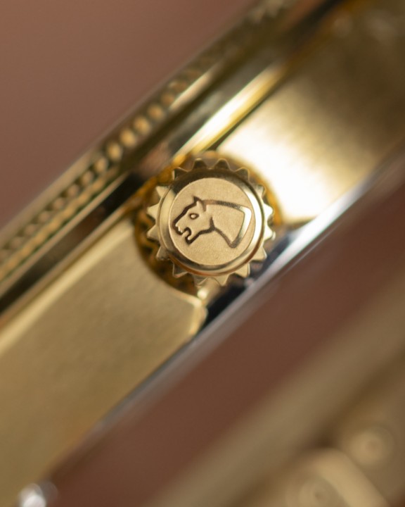 Obrázek Jaguar Acamar