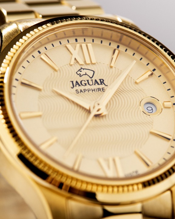 Obrázek Jaguar Acamar