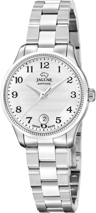 Obrázek Jaguar Acamar