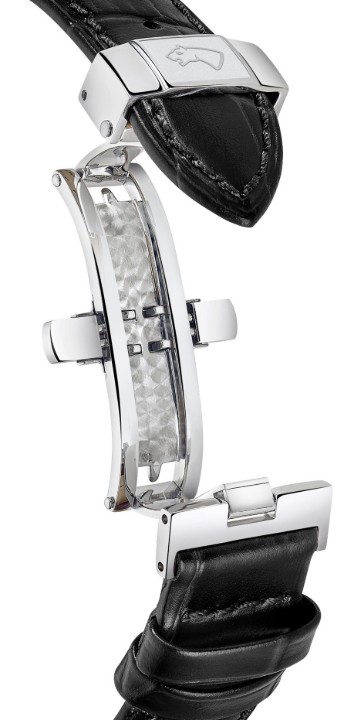 Obrázek Jaguar Acamar