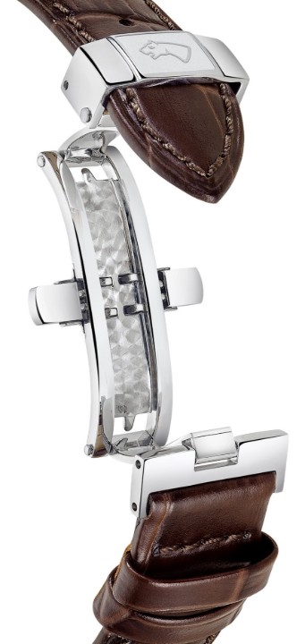 Obrázek Jaguar Acamar