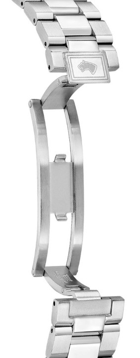 Obrázek Jaguar Acamar