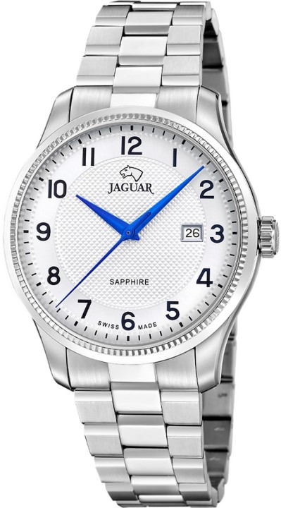 Obrázek Jaguar Acamar