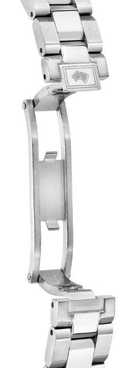 Obrázek Jaguar Acamar